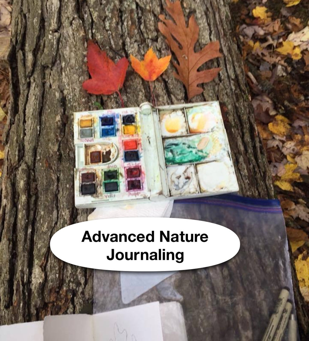 Advanced Nature Journaling