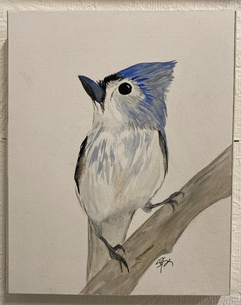 Trusty Tufted Titmouse