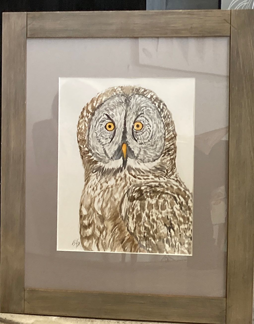 Great Gray Owl