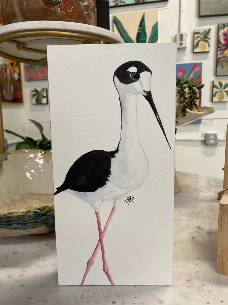 Black-necked Stilt