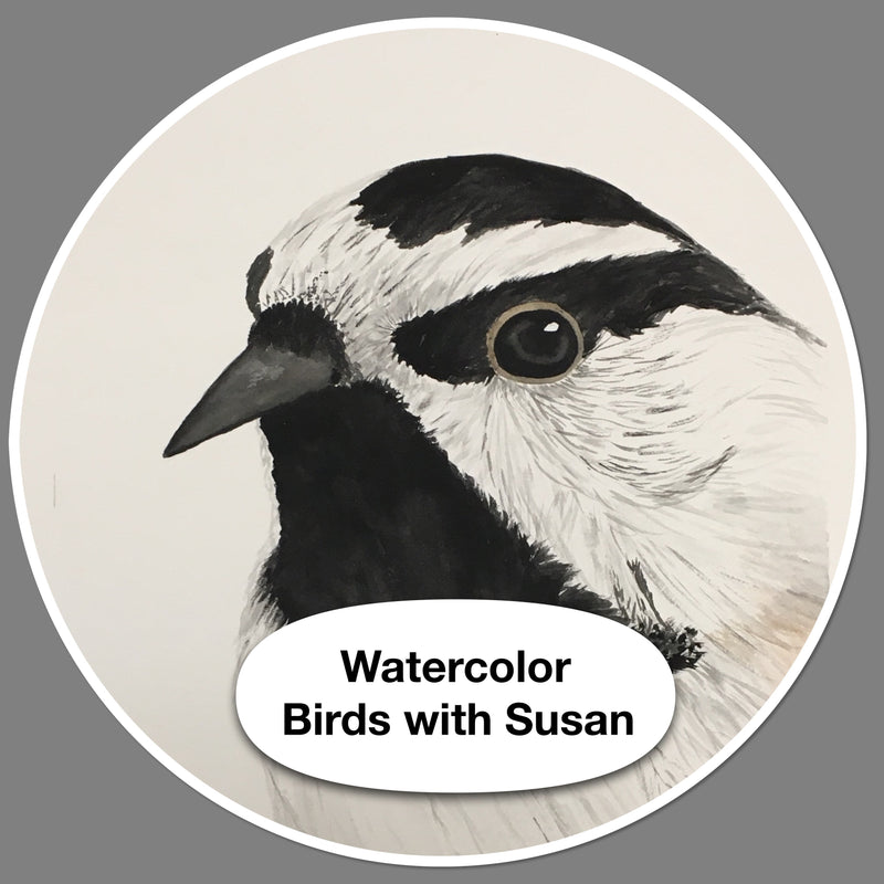 Watercolor Birds with Susan