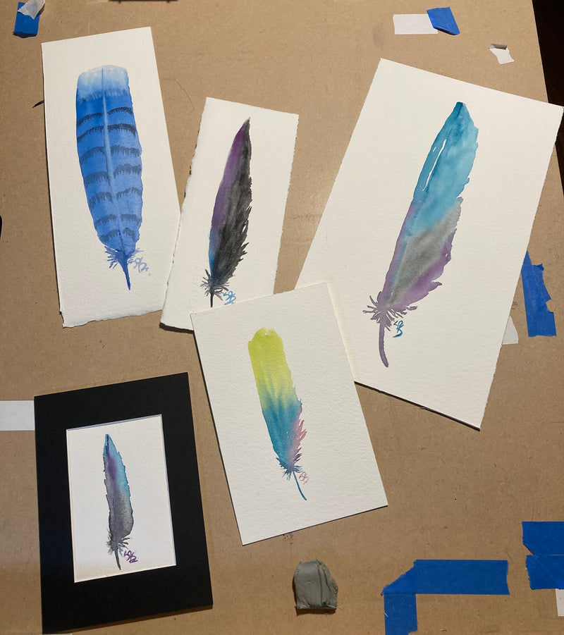 Assorted feathers