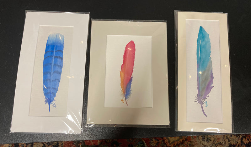 Assorted feathers
