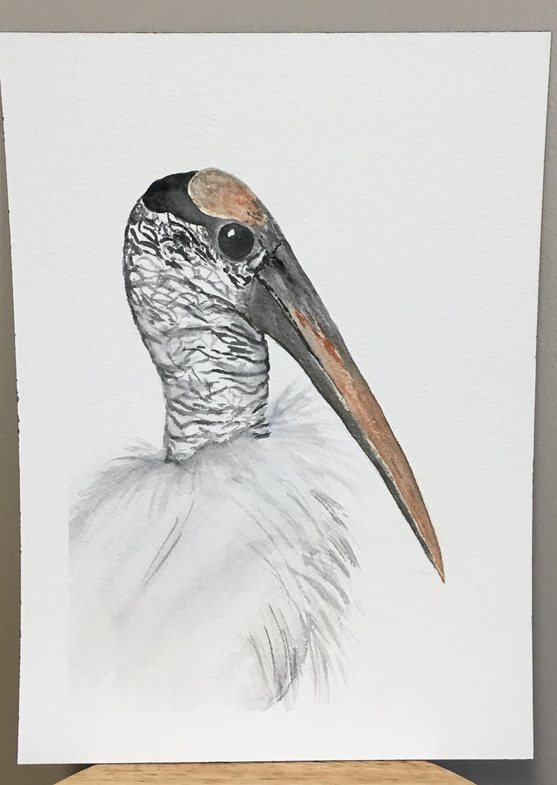 Wood Stork painting, 16x19"